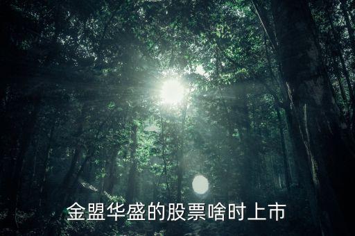 金盟華盛的股票啥時(shí)上市