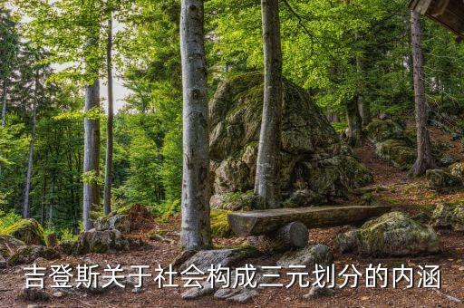 吉登斯關(guān)于社會構(gòu)成三元劃分的內(nèi)涵