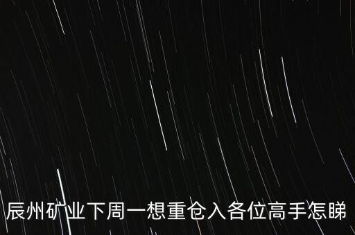 辰州礦業(yè)下周一想重倉入各位高手怎睇