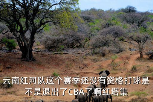 云南紅河隊這個賽季還沒有資格打球是不是退出了CBA了啊紅塔集