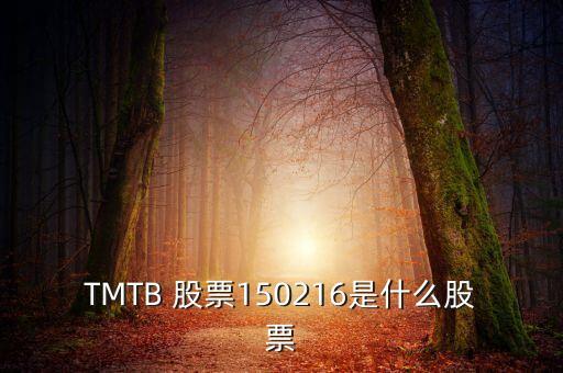成長(zhǎng)b級(jí)叫什么股票，正處于飛速發(fā)展時(shí)期公司所發(fā)行的股票常被稱(chēng)為 A藍(lán)籌股票 B成
