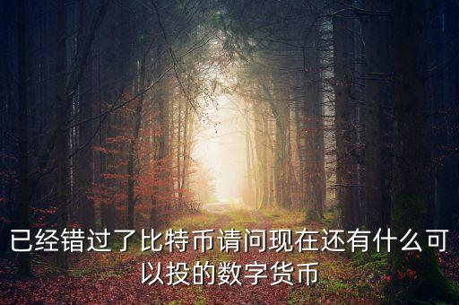 已經(jīng)錯(cuò)過(guò)了比特幣請(qǐng)問(wèn)現(xiàn)在還有什么可以投的數(shù)字貨幣