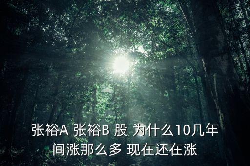 張裕a為什么2012年暴漲，為什么同一家公司的A股和B股差別很大