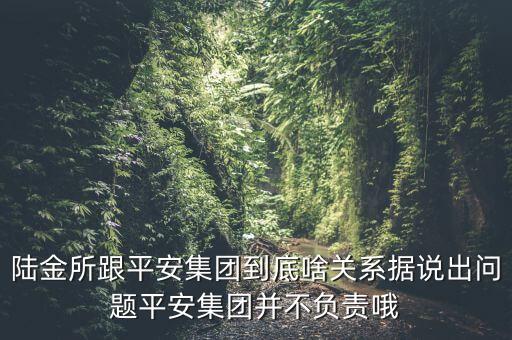 陸金所跟平安銀行什么關(guān)系，陸金所平安到底啥關(guān)系