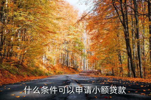 什么條件可以申請(qǐng)小額貸款