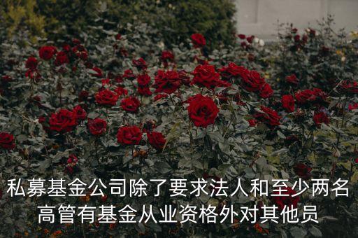 私募基金公司除了要求法人和至少兩名高管有基金從業(yè)資格外對(duì)其他員