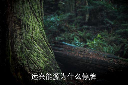 遠(yuǎn)興能源是家什么企業(yè)，F(xiàn)ESCO 是一家怎樣的公司