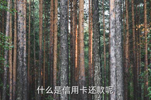 刷還信用卡是什么意思，什么是信用卡還款呢