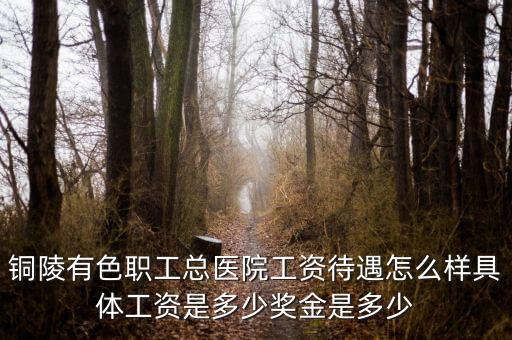 銅陵有色職工總醫(yī)院工資待遇怎么樣具體工資是多少獎(jiǎng)金是多少