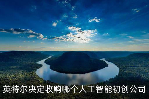 英特爾決定收購哪個人工智能初創(chuàng)公司