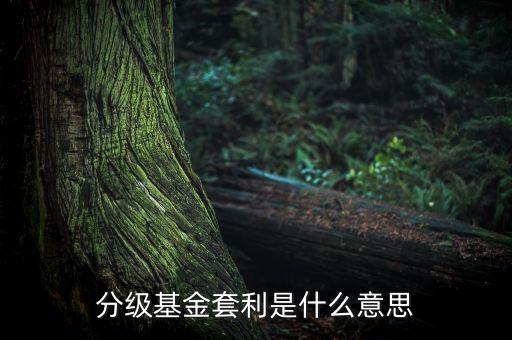 分級基金套利是什么意思