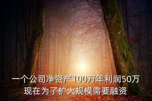 一個(gè)公司凈資產(chǎn)100萬年利潤(rùn)50萬現(xiàn)在為了擴(kuò)大規(guī)模需要融資