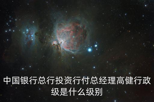 中投總經(jīng)理是什么級別，中國銀行總行投資行付總經(jīng)理高健行政級是什么級別