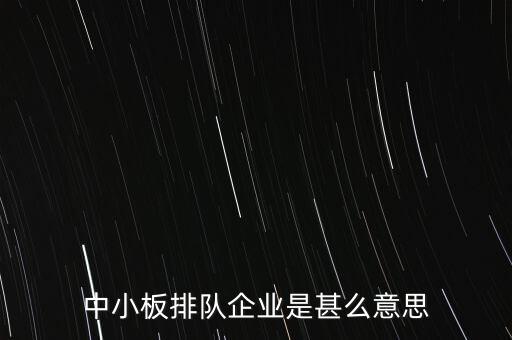 中小板排隊(duì)企業(yè)是甚么意思