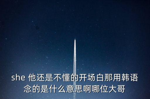 she 他還是不懂的開場(chǎng)白那用韓語(yǔ)念的是什么意思啊哪位大哥