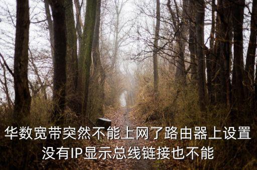為什么平湖華數(shù)寬帶沒網(wǎng)，華數(shù)互聯(lián)網(wǎng)連接不上是什么原因