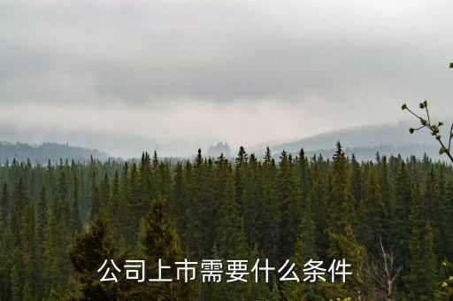 公司上市需要什么條件