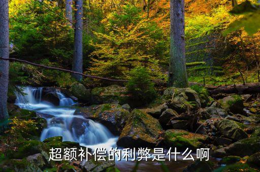 超額補貼是什么，超額補償?shù)睦资鞘裁窗?/></a></span><span id=