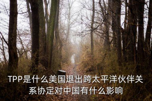 TPP是什么美國退出跨太平洋伙伴關系協(xié)定對中國有什么影響