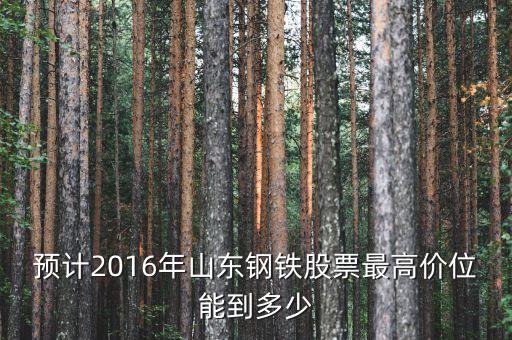 山東鋼鐵股票歷史最高什么價(jià)錢，預(yù)計(jì)2016年山東鋼鐵股票最高價(jià)位能到多少