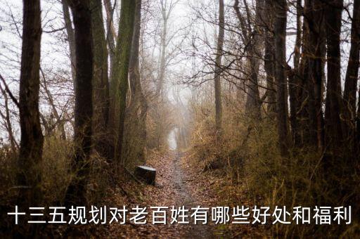 十三五規(guī)劃對(duì)老百姓有哪些好處和福利