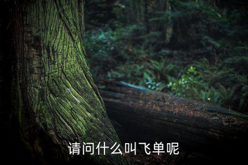 請問什么叫飛單呢