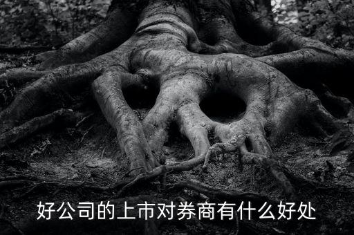 公司上市券商有什么好處，好公司的上市對券商有什么好處