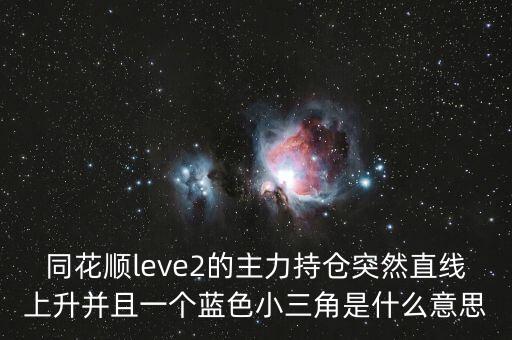 同花順leve2的主力持倉突然直線上升并且一個(gè)藍(lán)色小三角是什么意思