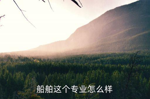 什么是船舶領(lǐng)域，船舶這個專業(yè)怎么樣