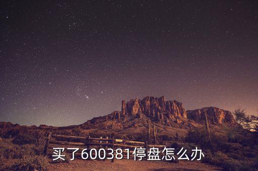 600381為什么被st，買了600381停盤怎么辦