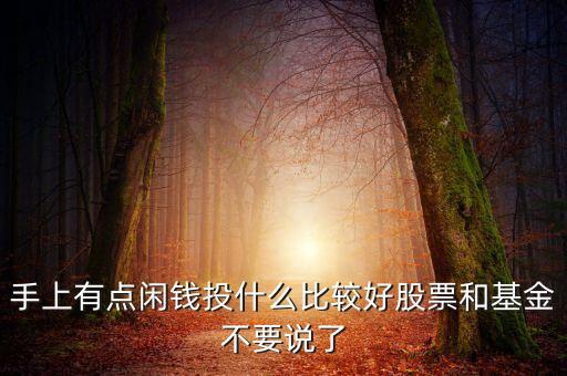 手上有點(diǎn)閑錢投什么比較好股票和基金不要說(shuō)了