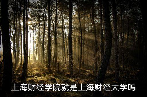 上海財(cái)經(jīng)學(xué)院就是上海財(cái)經(jīng)大學(xué)嗎