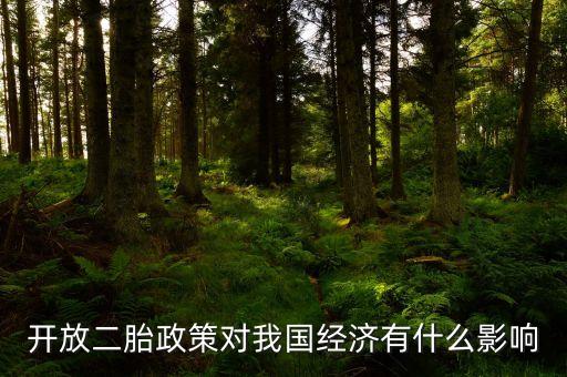 二胎放開后會有什么影響，如果放開全面二胎將會對中國經(jīng)濟(jì)造成什么影響