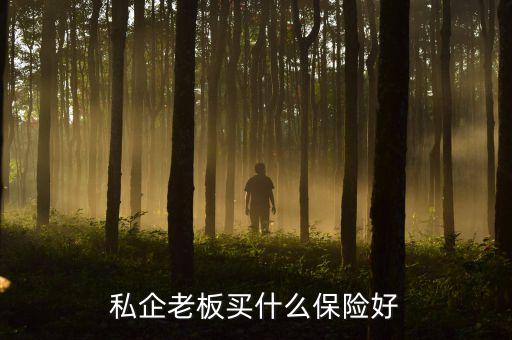 公司老板要什么保險(xiǎn)，我是一家小公司的老板我的員工必須要買(mǎi)那些保險(xiǎn)