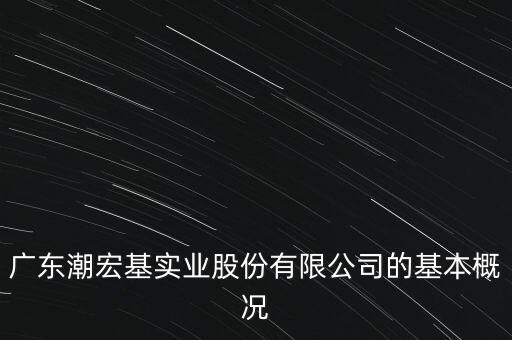 廣東潮宏基實業(yè)股份有限公司的基本概況