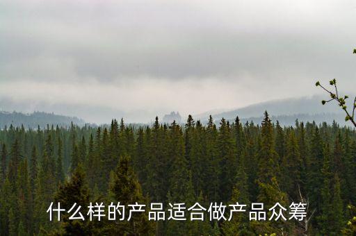 什么產(chǎn)品適合做眾籌，什么樣的商品適合做淘寶眾籌