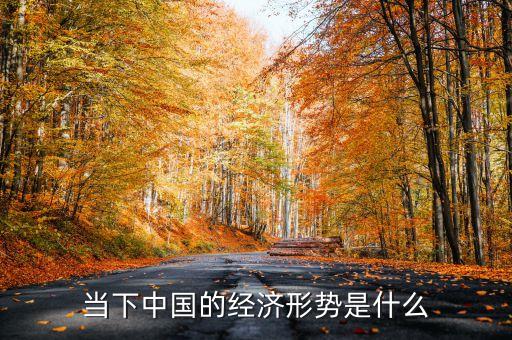 我國現(xiàn)在的經(jīng)濟形勢是什么，我國的經(jīng)濟狀況是什么樣的呀