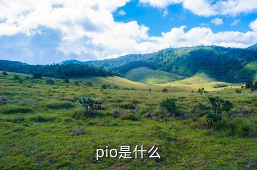 什么是華盛頓共識(shí)，共識(shí)是什么意思