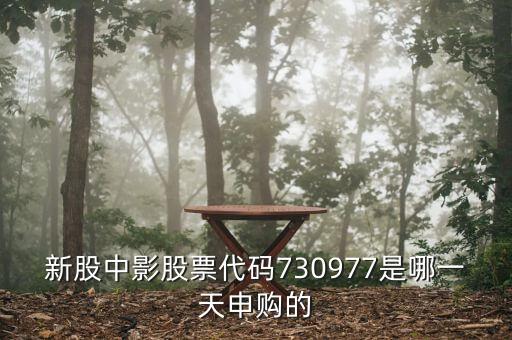 中影申購(gòu)什么時(shí)候上市，中影申購(gòu)中簽后什么時(shí)候可以賣(mài)買(mǎi)