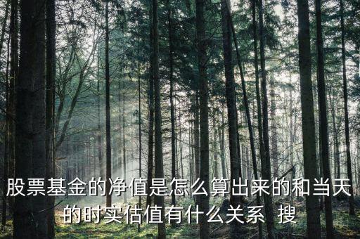 股票基金的凈值是怎么算出來的和當(dāng)天的時(shí)實(shí)估值有什么關(guān)系  搜