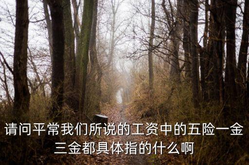 請問平常我們所說的工資中的五險(xiǎn)一金三金都具體指的什么啊