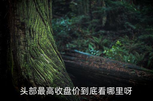 什么是頭部最高收盤價(jià)，頭剖最高收盤價(jià)是什么意思
