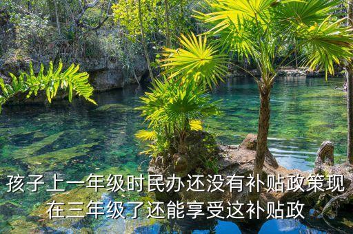 孩子上一年級時(shí)民辦還沒有補(bǔ)貼政策現(xiàn)在三年級了還能享受這補(bǔ)貼政