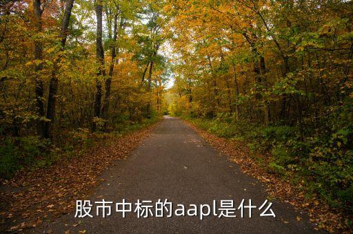 股市中標(biāo)的aapl是什么