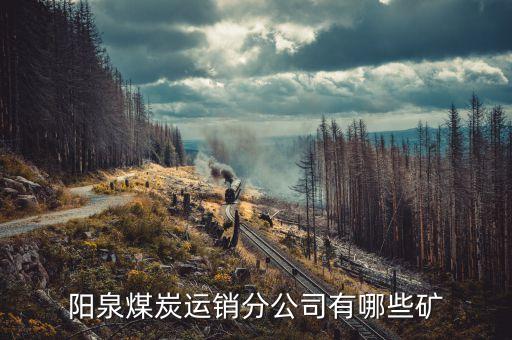 600348陽(yáng)泉煤業(yè)有什么煤，陽(yáng)泉煤炭運(yùn)銷(xiāo)分公司有哪些礦