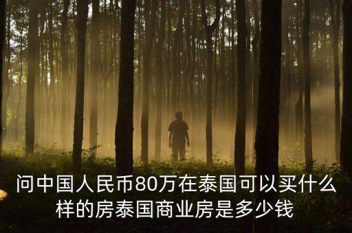 問中國人民幣80萬在泰國可以買什么樣的房泰國商業(yè)房是多少錢