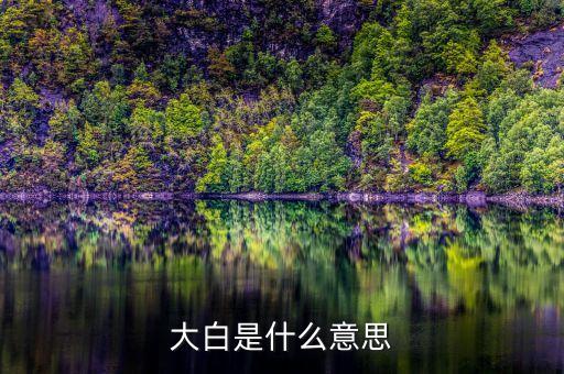 大白是什么意思