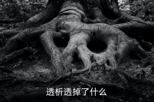 透析透掉了什么