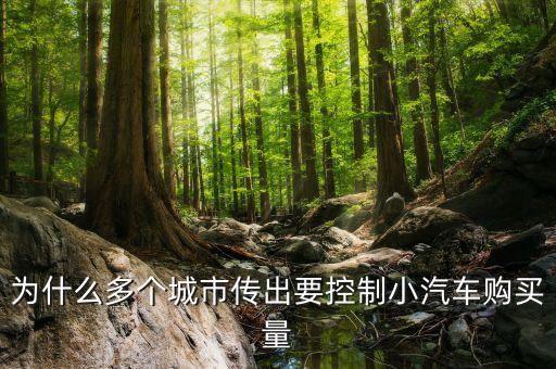 為什么要限制城市私家車的數(shù)量，為什么多個城市傳出要控制小汽車購買量
