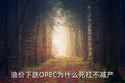 油價(jià)下跌OPEC為什么死扛不減產(chǎn)